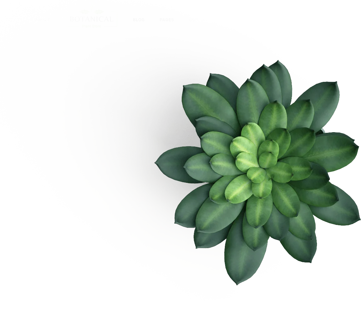 Plants enhancing an office interior