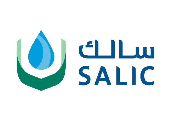 Salik Logo