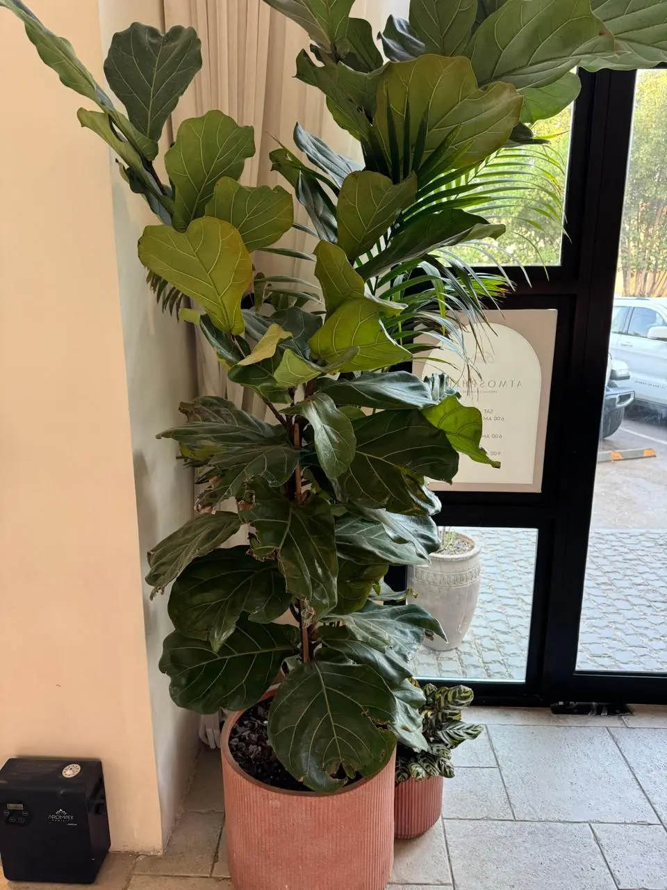 Plant styling sample 1