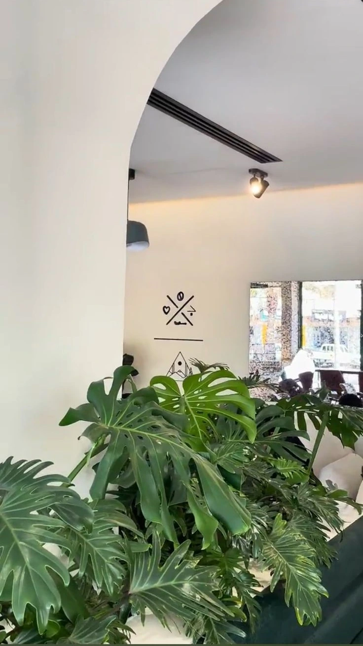 DE PLANTA — Project 12