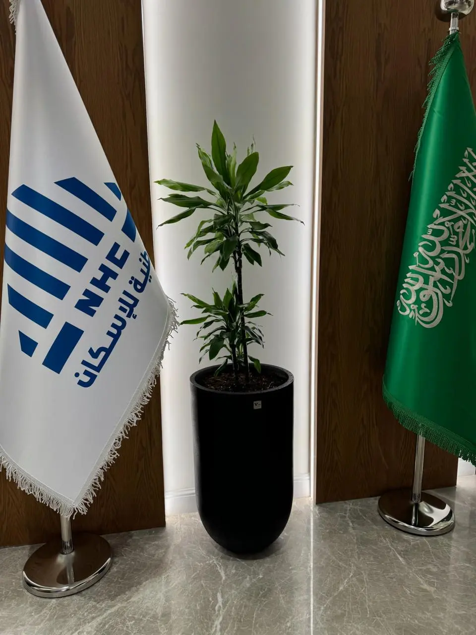 DE PLANTA — Project 22