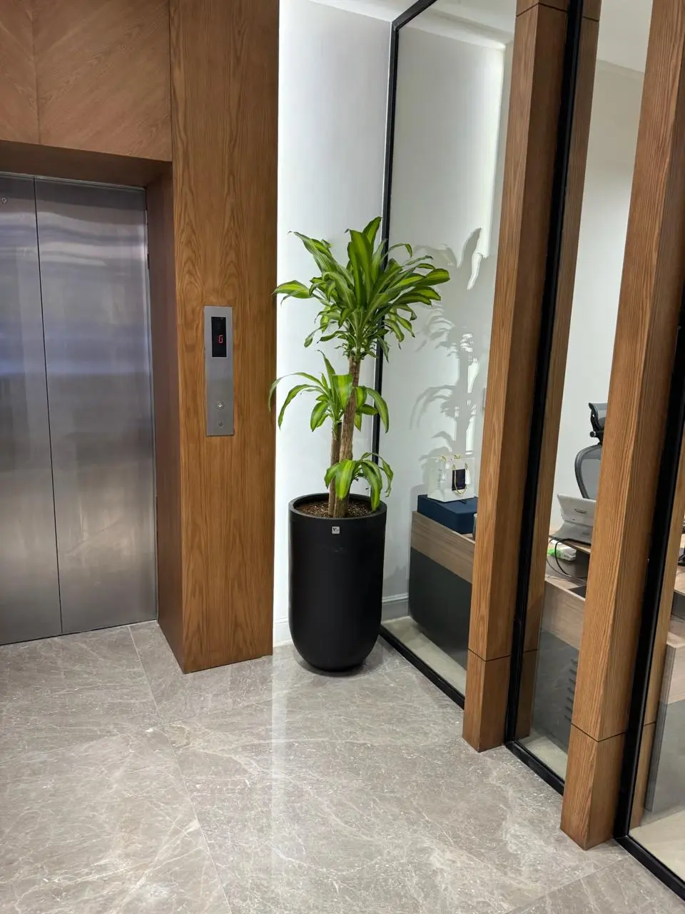 DE PLANTA — Project 24