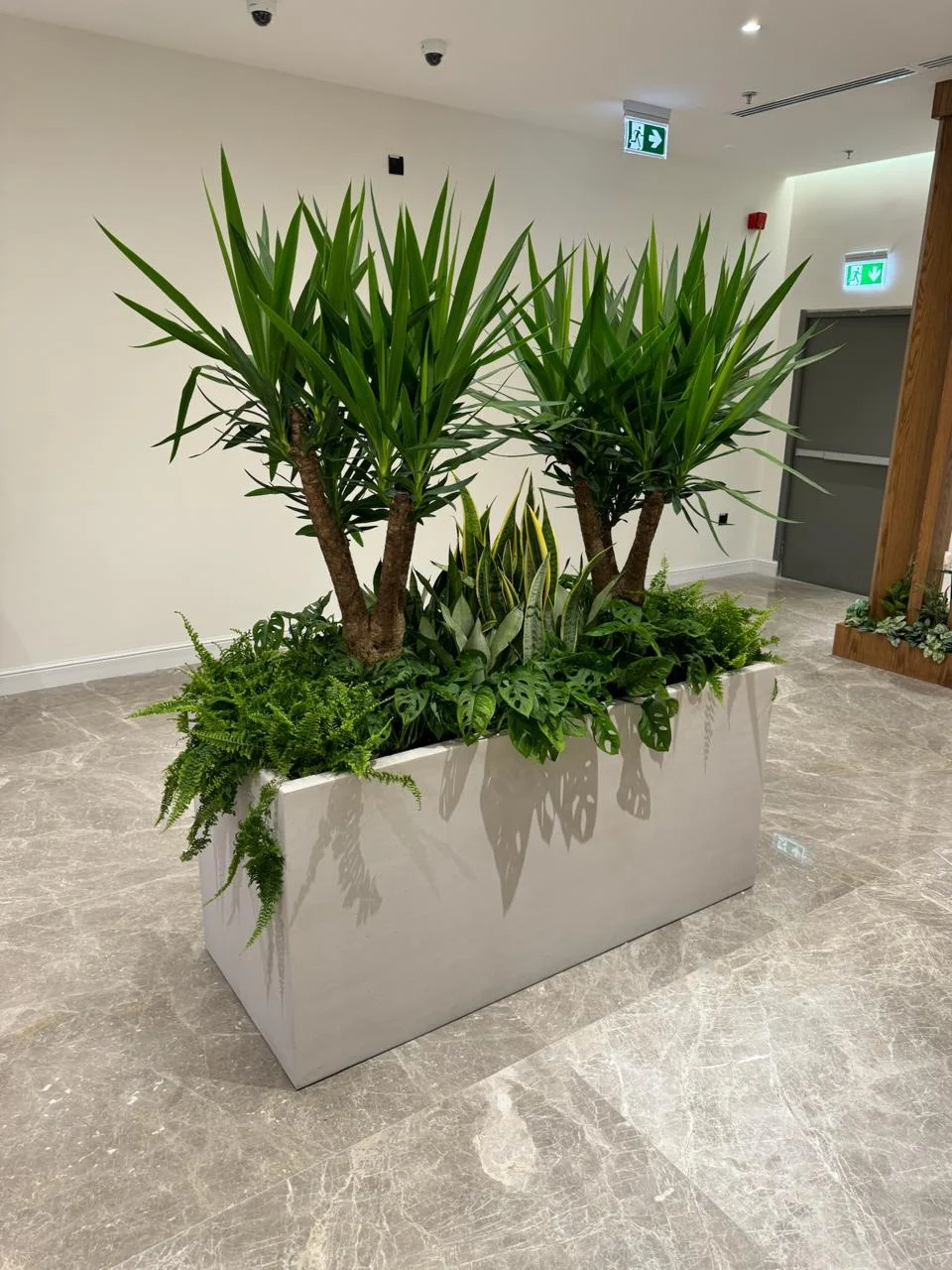 DE PLANTA — Project 25