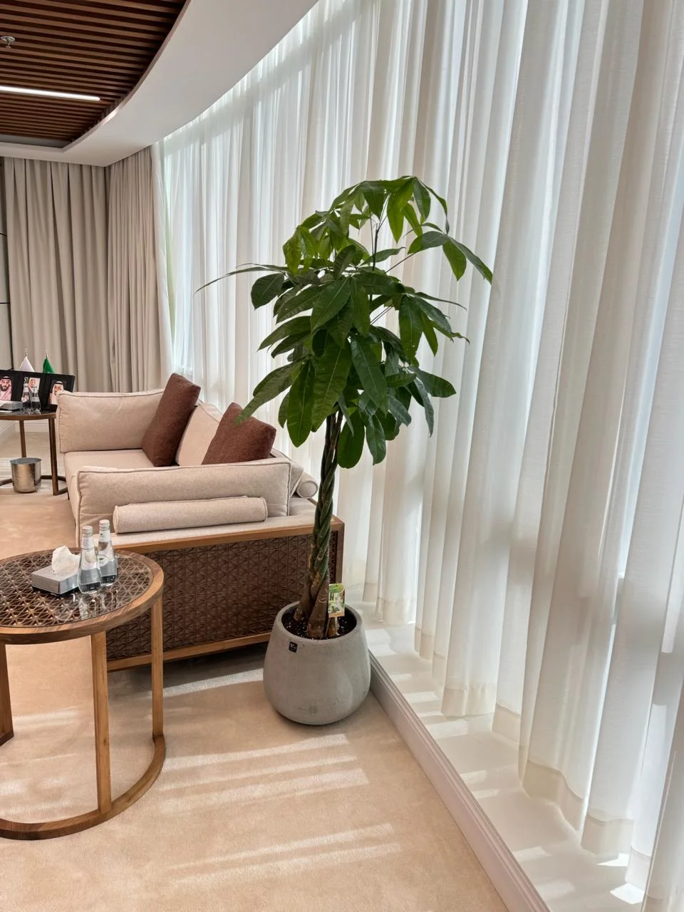 DE PLANTA — Project 29