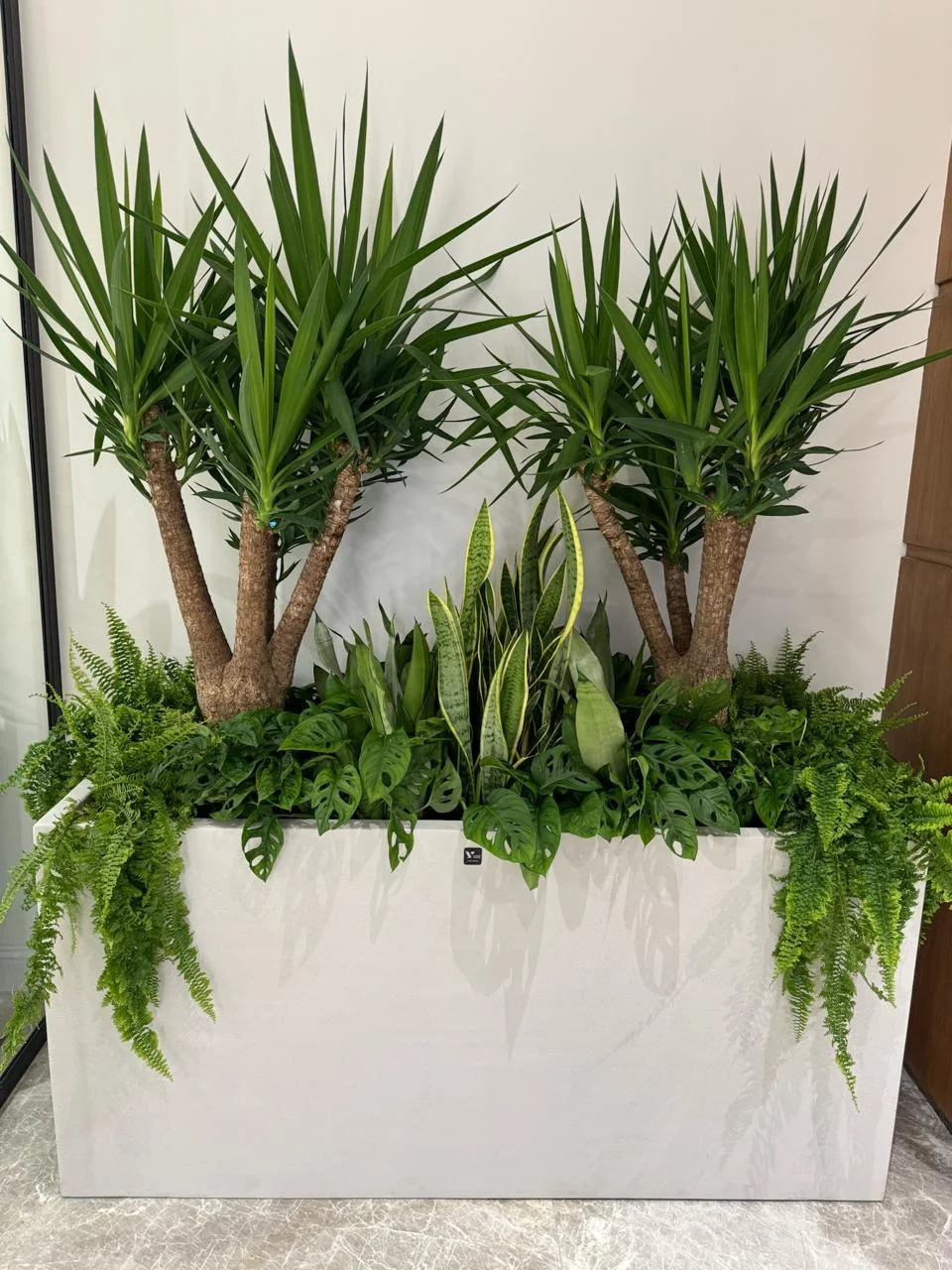 DE PLANTA — Project 35