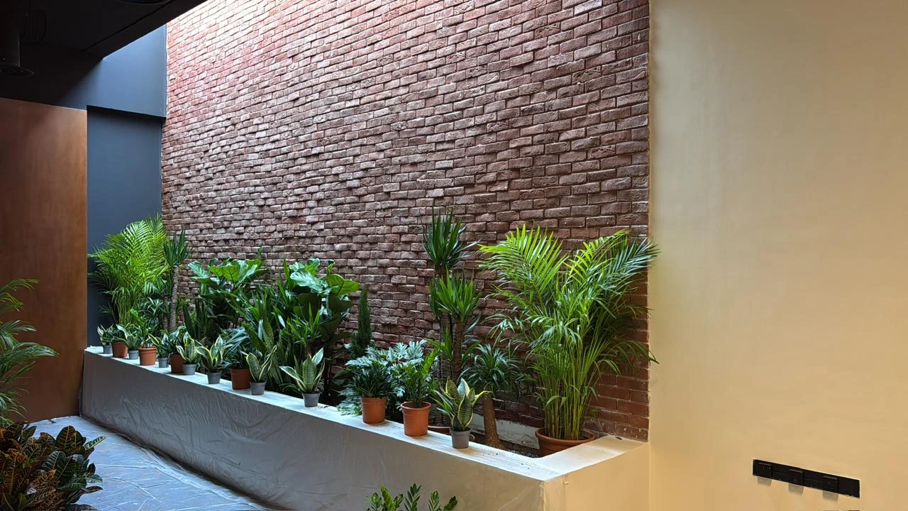 DE PLANTA — Project 8